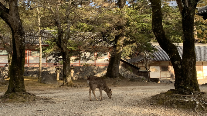 NaraPark