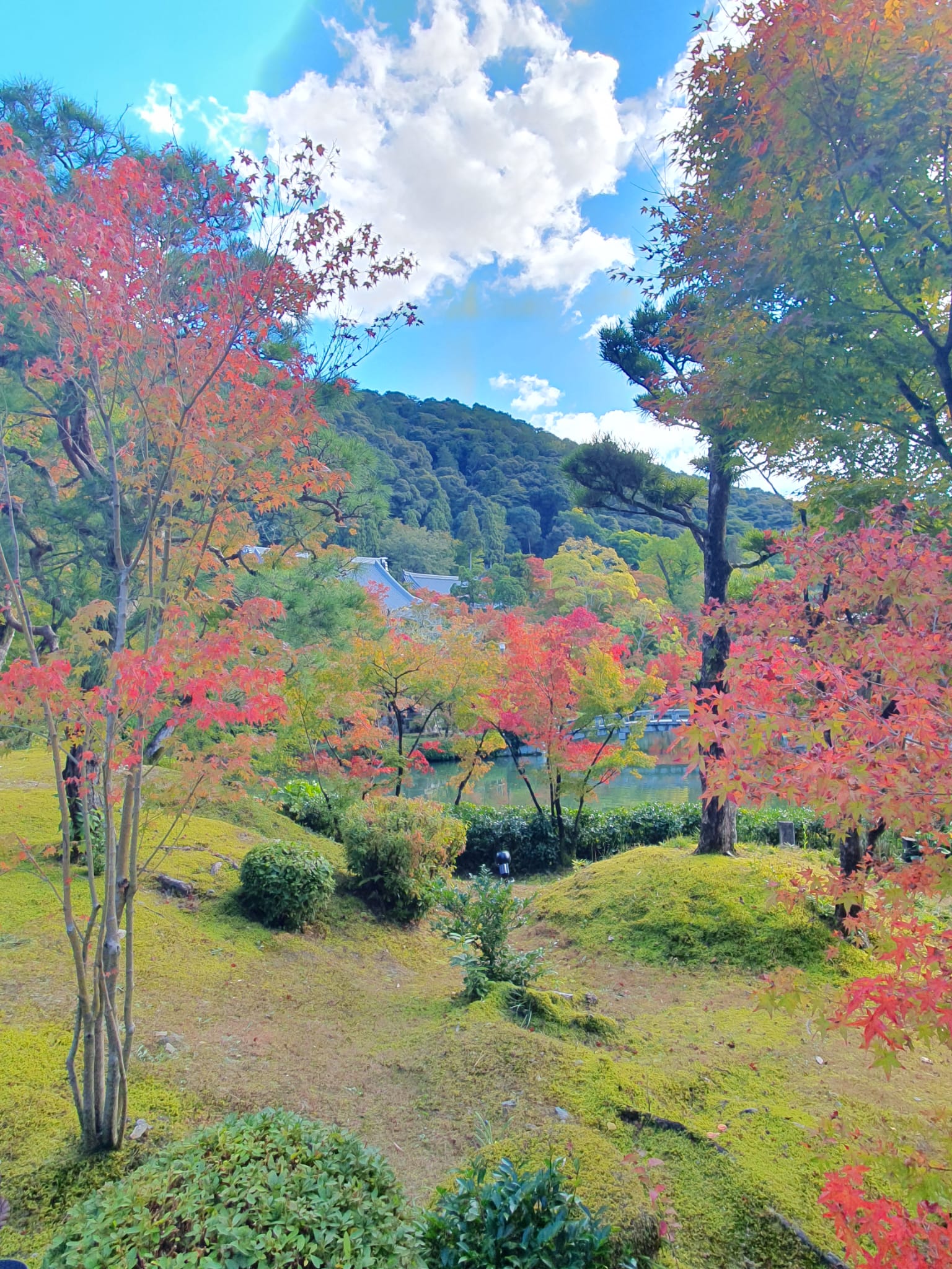 Eikan-dō_Zenrin-ji 2022