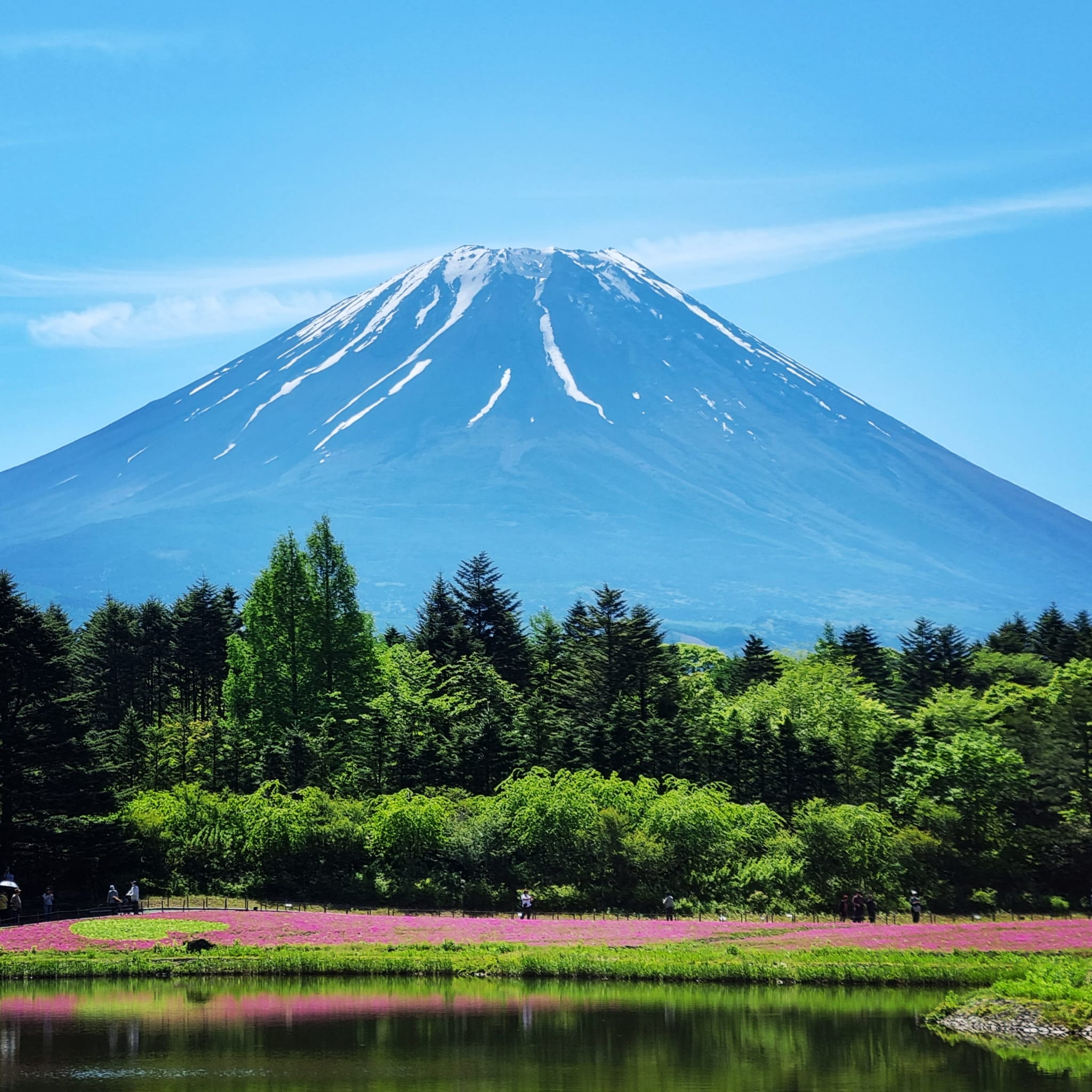 Mt. Fuji